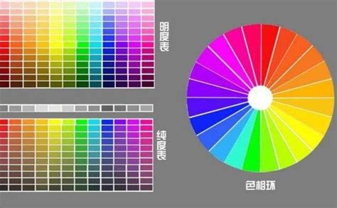 人類看不到的顏色|顏色的本質是什麼？自然界中還存在人類尚未發現的顏。